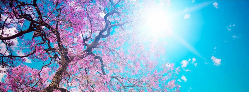 3weekVictoria's tweet image. 