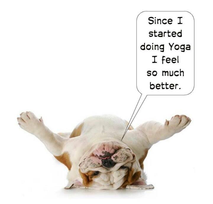 Tomorrow is our last yoga class before the holidays. Join us at 10:30 in room 110. You'll feel better!