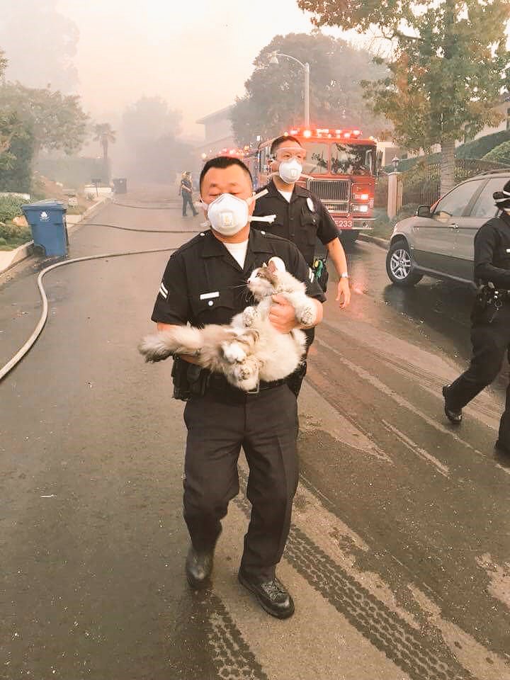 Police Officer Rescues Cat From Fire