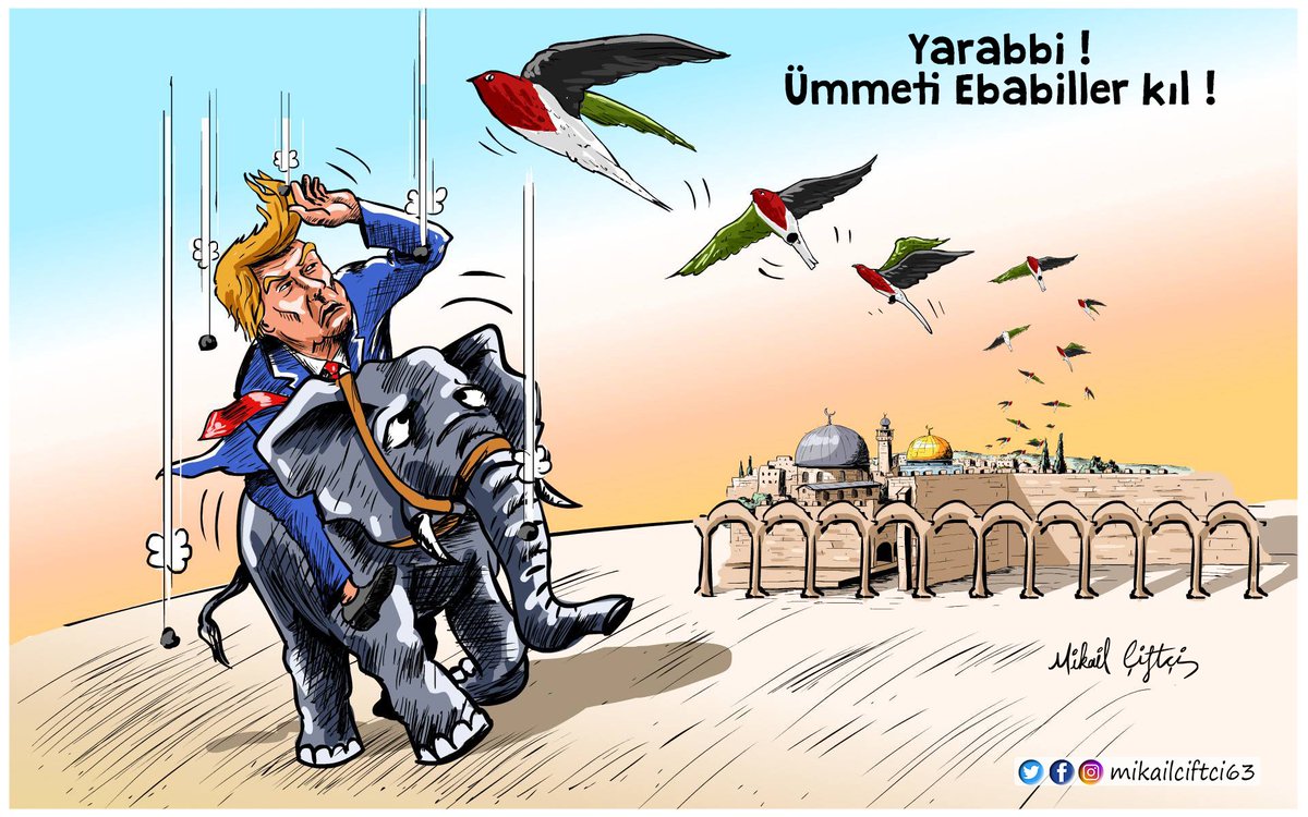 Yarabbi! Ümmeti Ebabiller kıl !
#KudüseSahipÇık #KudüsKırmızıÇizgimizdir #KudüsİçinAyaktayım #FreeQuds #Kudüsİslamındır #KudüsBizimdir #Kudüsİçinİntifada #Kudüs