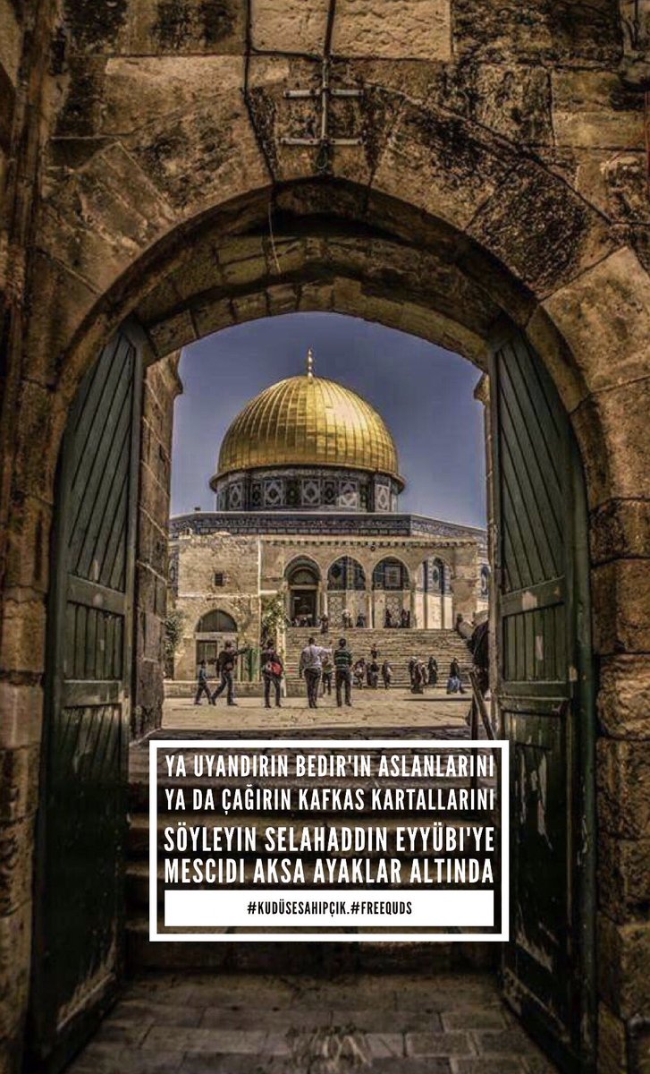 Mehmet ARPACI tweet media