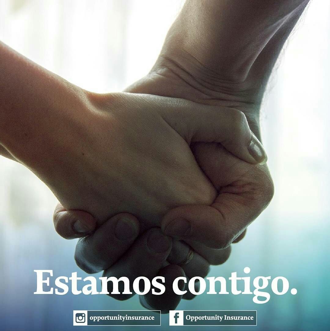 PattyPoleo's tweet photo. #AliadosFDP | En @opportunityinsurance canalizan cualquier requerimiento sobre tu póliza de salud y/o auto a través del 786-344-5237 / 786-334-6612 | Síguelos en Instagram 👉 @opportunityinsurance | #EstamosContigo #OpportunityInsurance https://t.co/KUJoz1gghr
