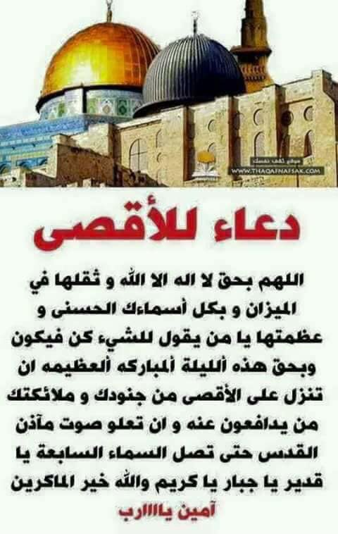 Sakina_Al_Azami's tweet photo. https://t.co/arayVMUThh
