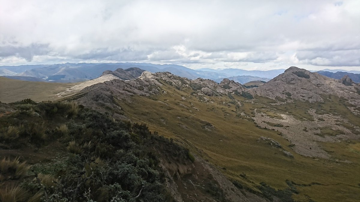 Drone_gis's tweet image. Mapping Polylepis Forests in Chimborazo - Ecuador 🇪🇨  research project  @Event38 @EspochRio