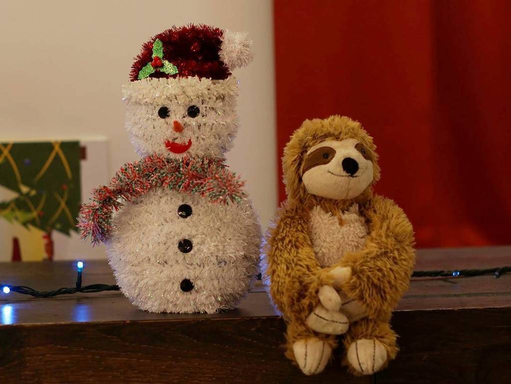 slothindublin's tweet photo. my dear friend the fake snowman tells me i'm not posting regularly enough. i think that i'm doing great considering i only have 3 fingers to work with.

#slothindublin #sloth #dublin #snowman #almostchristmas #shouldistayorshouldigo #lazy https://t.co/Kfe5dVWtON
