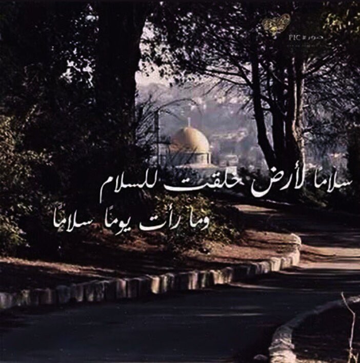 #القدس_عاصمه_فلسطين_الابديه.   يا قدس، يا مدينة الأحزان
يا دمعةً كبيرةً تجول في الأجفان
من يوقف العدوان؟
يا قدس.. يا مدينتي
يا قدس.. يا حبيبتي
غداً.. غداً.. سيزهر الليمون
وتفرح السنابل الخضراء والزيتون،،،،،،،     ابيات حضرتني من أشعار قباني