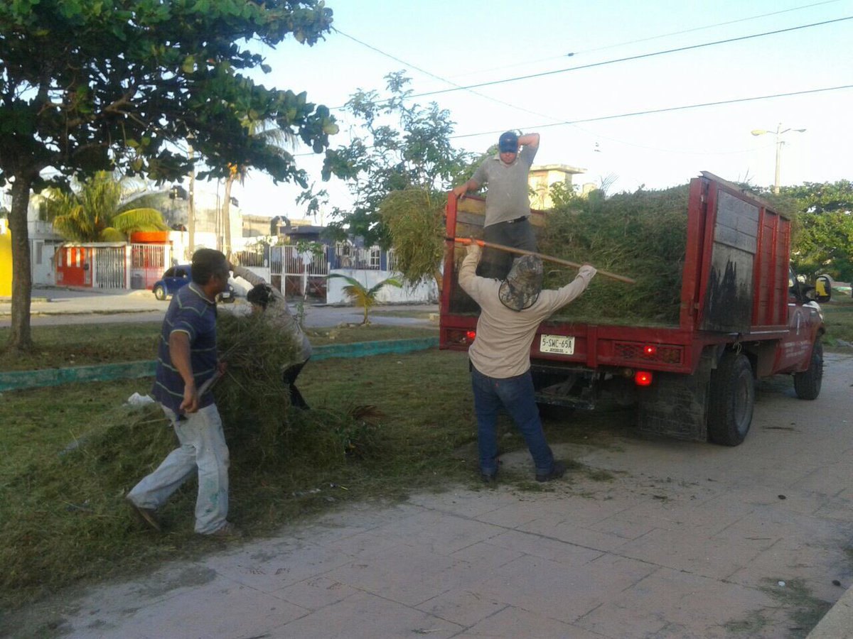 #BrigadasVerdes realizan chapeo y limpieza general de canal SM 74 Av. López Portillo hacia calle Francisco Villa #NoPararemos <a href="/rembertoestrada/">Remberto Estrada</a> <a href="/RogerEspinosaR/">Roger EsPro</a> <a href="/AFonsecaL/">Antonio Fonseca Leon</a> <a href="/ANTONY2302/">ANTONIO DE LA TORRE</a>
