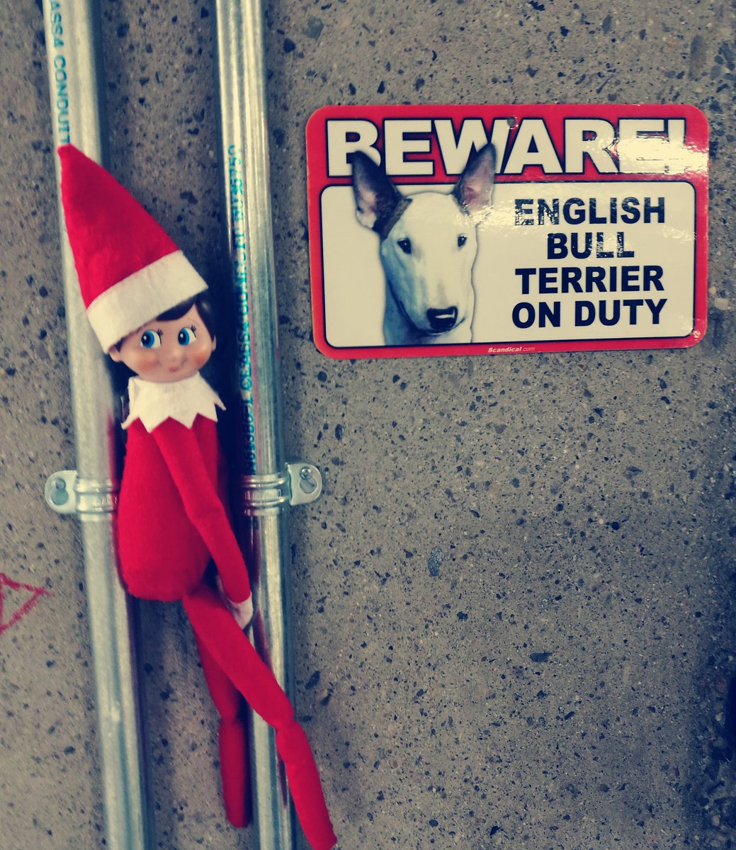 MartaCwiertnia's tweet photo. @TwitterDublin has a new Tweep, a little mischief maker 😁 #elfbuddy #twittercareers #twitterdublin #elfontheshelf @TwitterREW https://t.co/ClyIdKP9qK