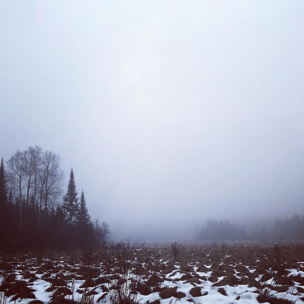 Seth Steinbach tweet media