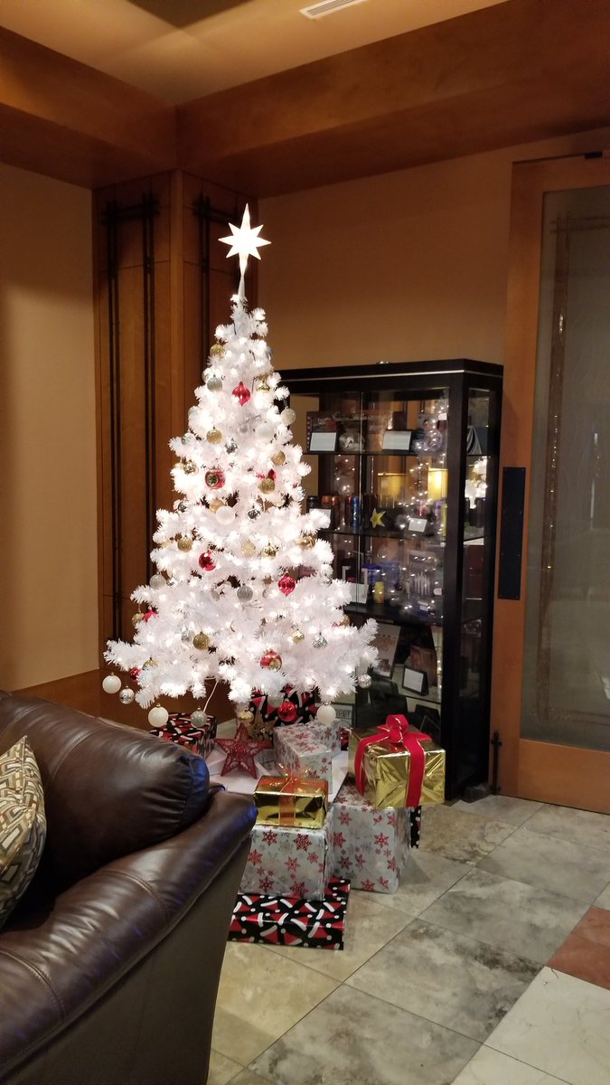 BinsackSb's tweet photo. Christmas at the MFA headquarters in Las Vegas!! Great job to the team here decorating the office!! Bravo!! #MFAStrong #MFA https://t.co/mhWDmkT4NW