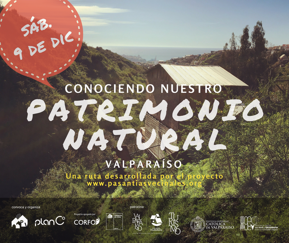 Plan Cerro tweet media