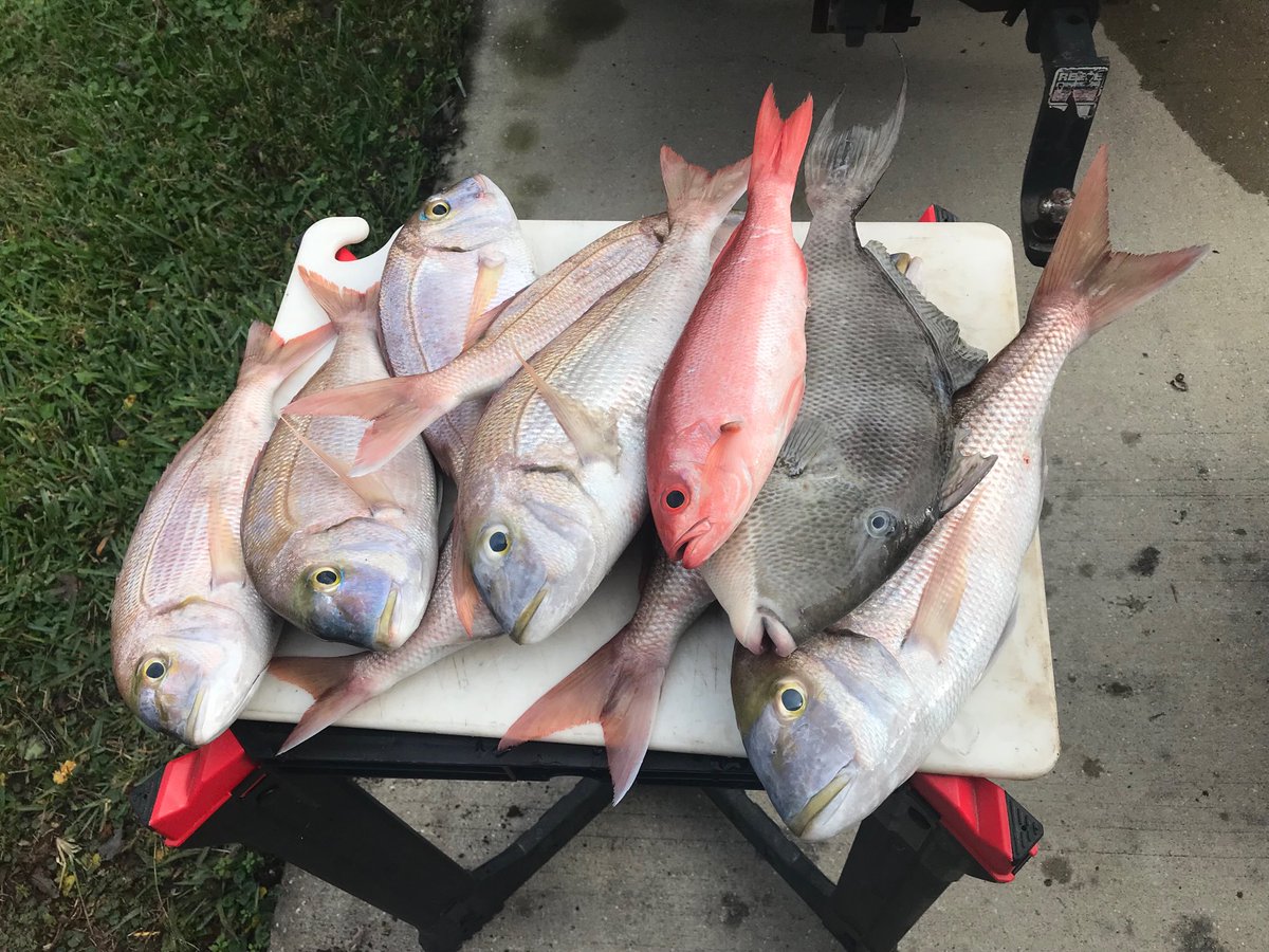 tightlines52 tweet picture