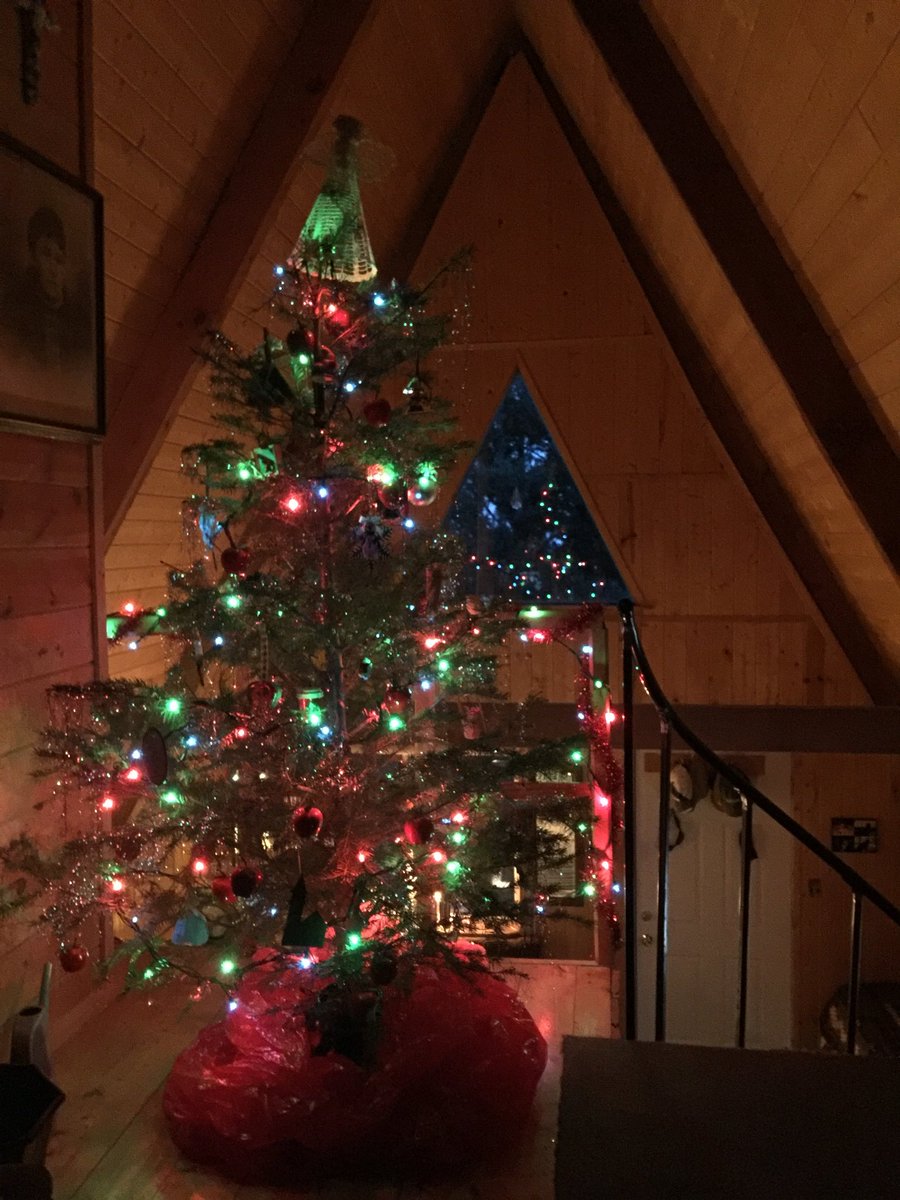 Oh Christmas tree......