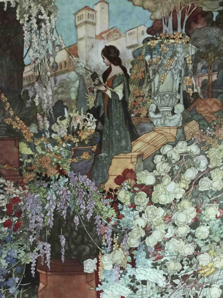 RareBook's tweet image. A Sensitive Plant in a garden grew,
And the young winds fed it with silver dew,
And it opened its fan-like leaves to the light,
And closed them beneath the kisses of Night.
rareillustratedbooks.com/pages/books/59… #rarebooks #sensitiveplant #shelley