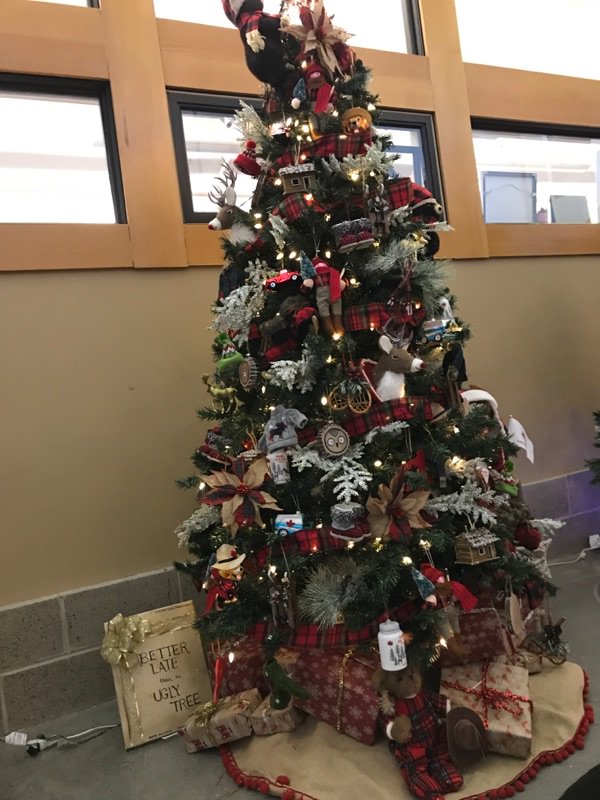 Be sure to check out the <a href="/CanmoreRotary/">Canmore Rotary Club</a> Festival of Trees at the Civic Center. Here is a sneak peek at our masterpiece! #ChristmasTree
