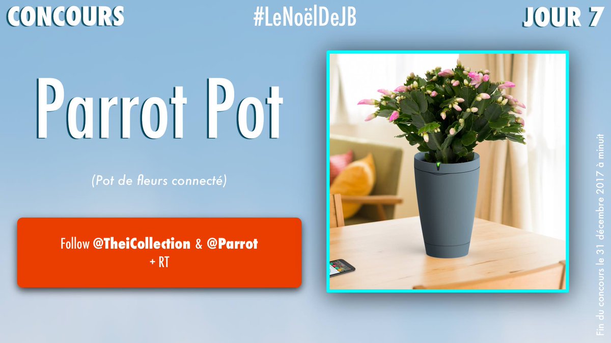 TheiCollection's tweet image. #CONCOURS #LeNoelDeJB #JOUR7

Gagne le Parrot Pot !

1️⃣ Follow @TheiCollection &amp;amp; @Parrot
2️⃣ ReTweet ce Tweet