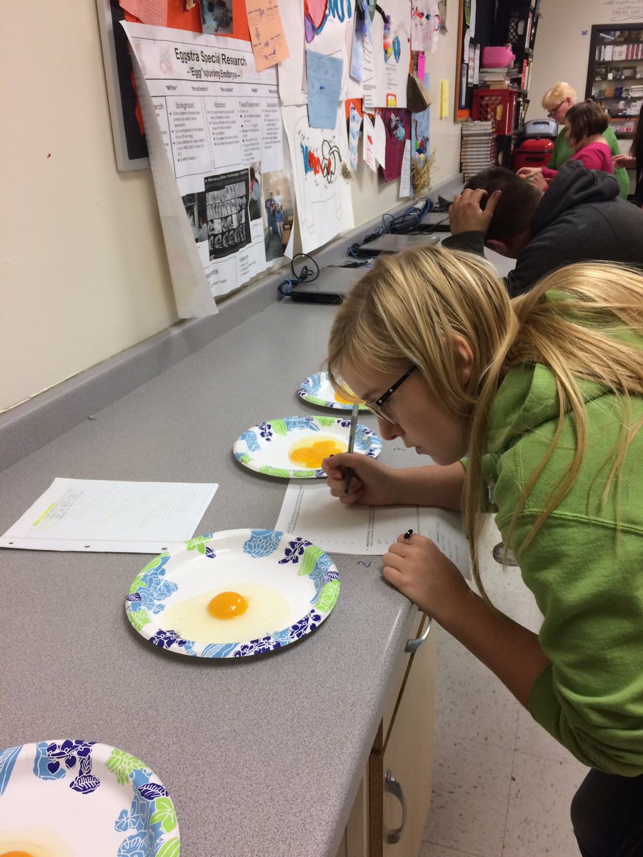 mishicotag's tweet photo. #egg #poultry #lab today in #agedu love the hands on CDE prep in the classroom #FoodFacts #EducatedConsumers https://t.co/BJ0WGaHN0R