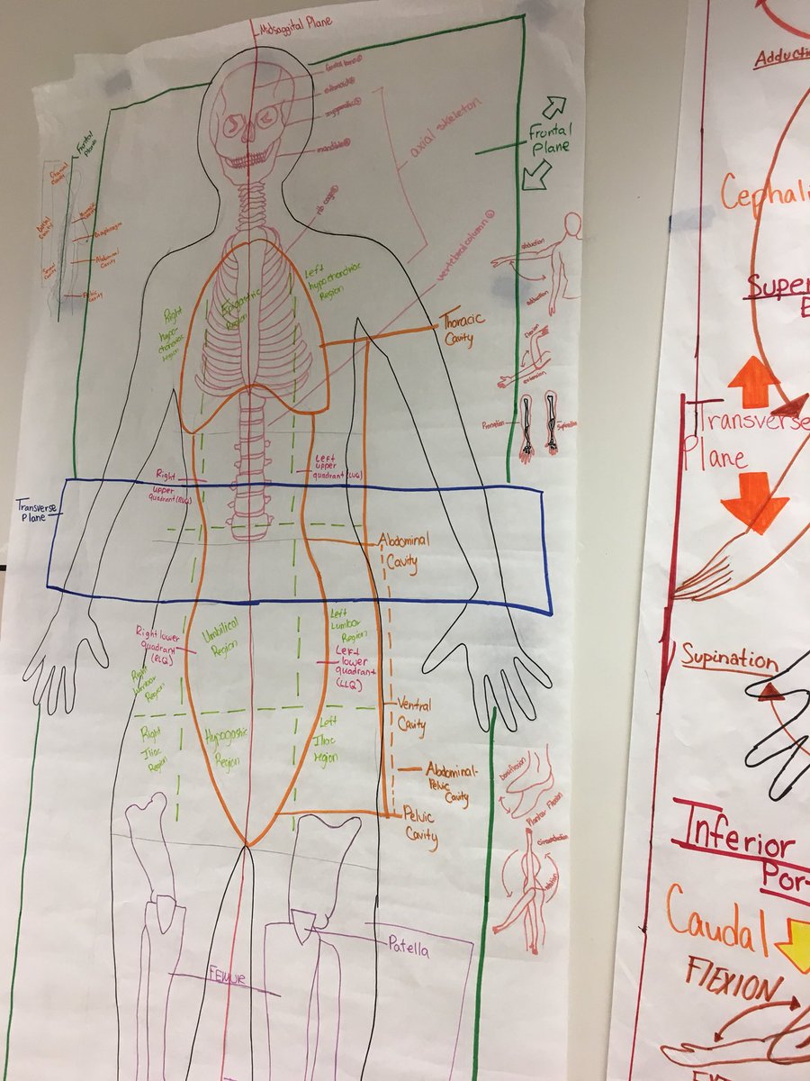 Have you checked out our Health Science courses? You can earn industry certifications and be a part of <a href="/CGHS_HOSA/">Coral Glades HOSA💉</a> working on projects in the health industry!