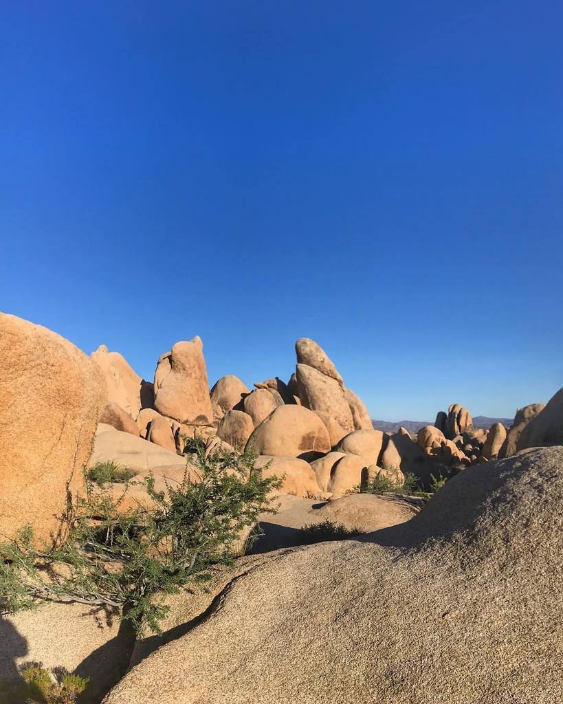 mrdanielgross's tweet photo. Geology is beautiful. #nationalparkgeek #FYPyes #nps #nationalpark #nationalparks #americasbestidea #findyourpark #goparks #nationalparkfoundation #everykidinapark #nature #naturelovers #npca #nationalparktrust  #protectourpubliclands #climatechangeisrea… https://t.co/lOn1gIr8Yj https://t.co/6q28Zy28AO