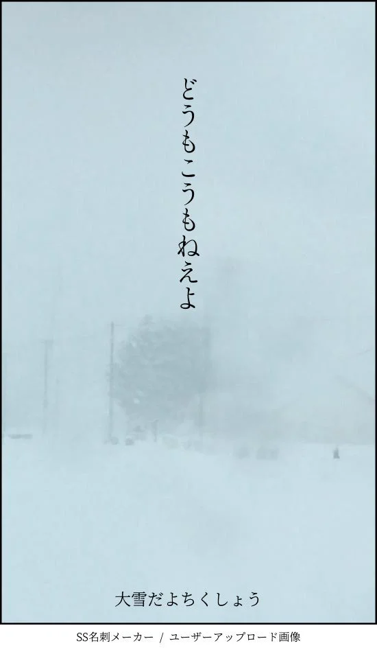 心配して聞いたのにｗｗｗまともに答えれる状態ではない雪の深刻度ｗｗｗ