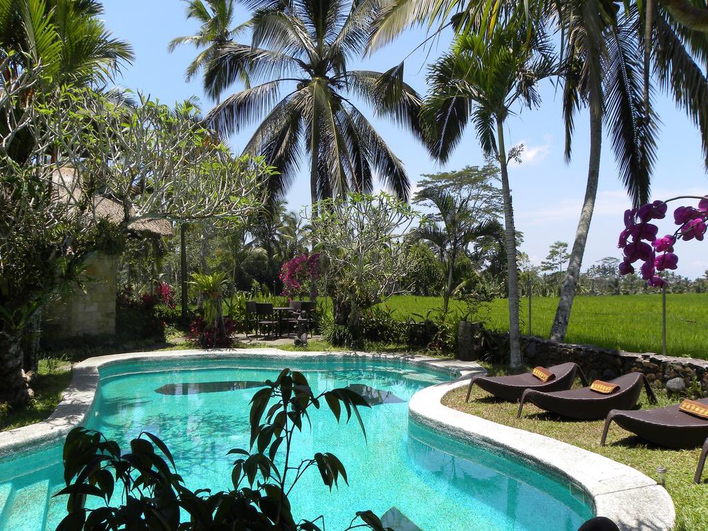 Craftnez's tweet photo. 6 bedroom villa for sale in ubud, bali. Check on https://t.co/4DpPeKU1gz   #realty #realtyid #australia #ubudproperty #ubud #tegalalang https://t.co/TkX5A3daAr