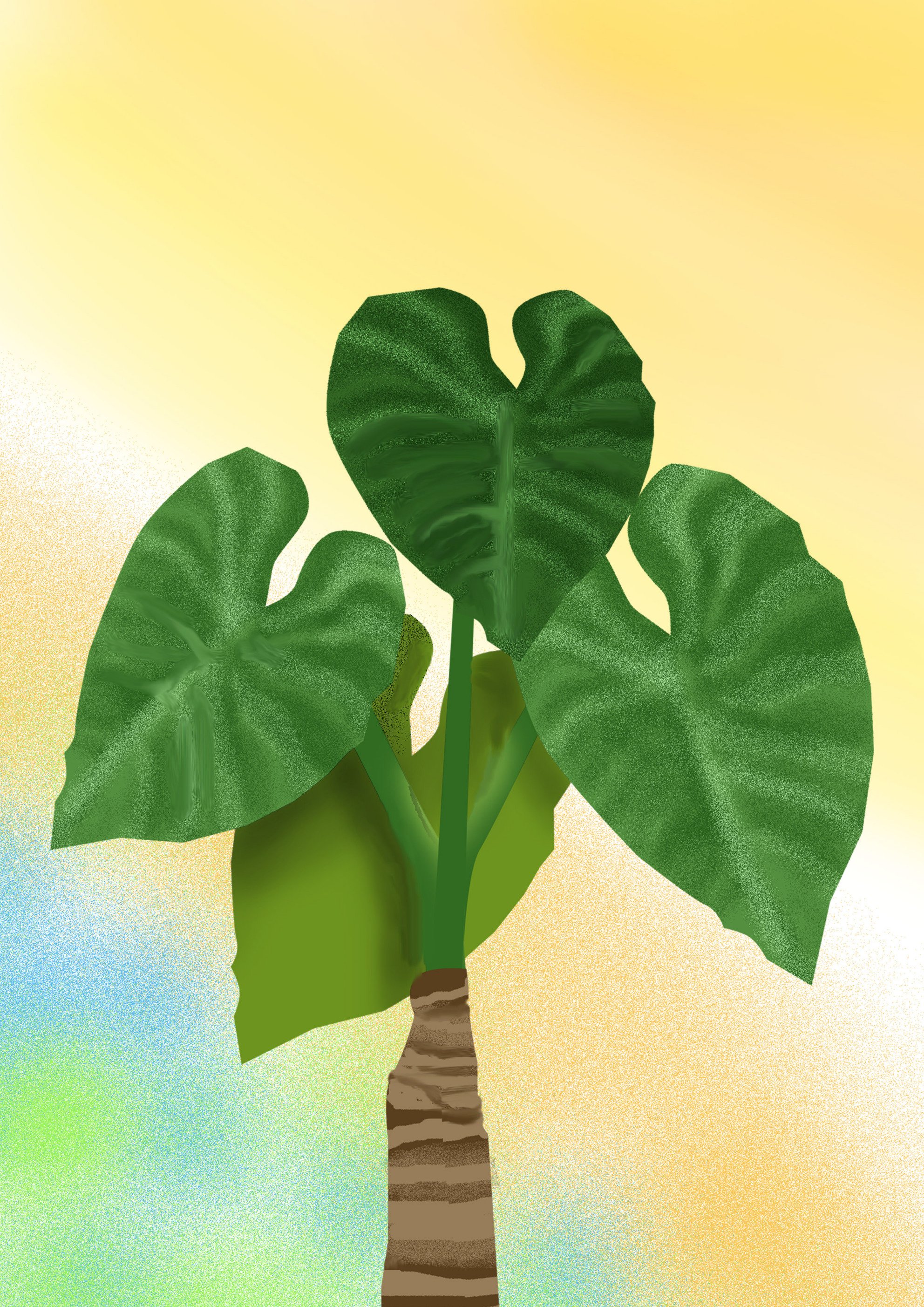 Art So Fun Pa Twitter クワズイモ 観葉植物 今日はクワズイモ 食わず芋 を紹介します 花言葉は 復縁 仲直り 出世 別名 出世芋 風水やスピリチュアルにおいては 仕事運 特に出世 と恋愛運 に 良いです T Co Qxopvsl3ao Twitter