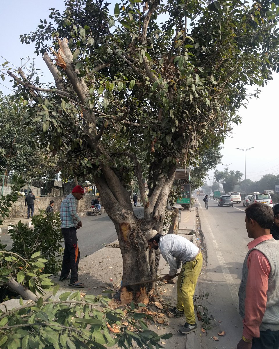 ShrishKotiyal's tweet photo. Don't make excuses, use your brain and find better ways to solve human problem 😬 #saveenvironment #saveearth #dontcuttrees #Government #Delhi #delhi https://t.co/CIXyyN6kbc