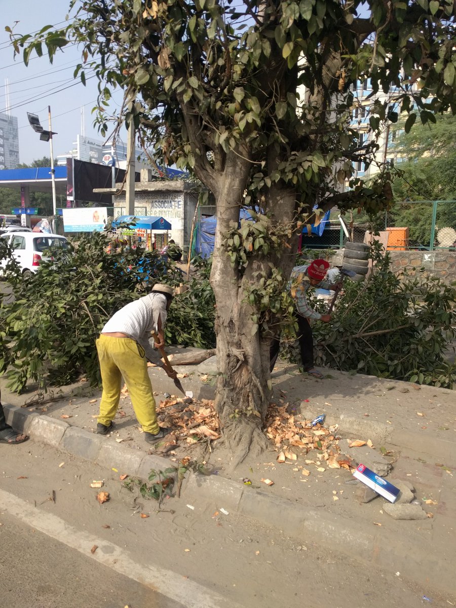 ShrishKotiyal's tweet photo. Don't make excuses, use your brain and find better ways to solve human problem 😬 #saveenvironment #saveearth #dontcuttrees #Government #Delhi #delhi https://t.co/CIXyyN6kbc