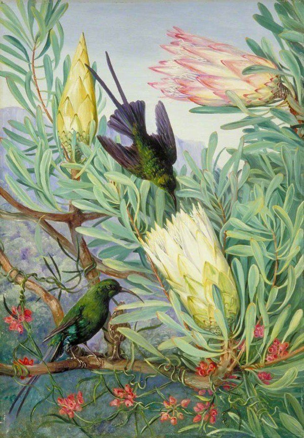womensart1's tweet photo. Marianne North (1830-1890) English​ biologist and botanical artist, known for her travels, plant discoveries &amp; gallery at Kew #womensart https://t.co/MRoB0q5HO6