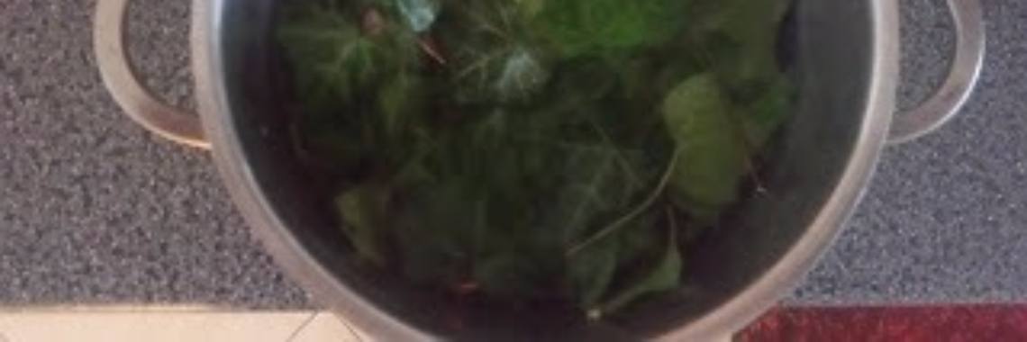 MoestuinHulp's tweet image. Gebruik wilde PLANTEN uit het BOS of uit je MOESTUIN om BIOLOGISCH AFWASMIDDEL, WASMIDDEL, HANDZEEP en SHAMPOO van te MAKEN  #Crafts #&amp;amp; #DIY oal.lu/6FioV