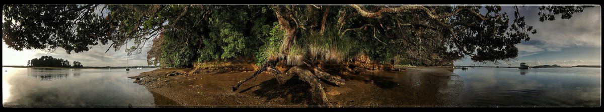 Seaing the Pohutukawa
East Coast Delight
Chasing the Tide 
<a href="/NZ_Photo/">Love New Zealand</a> 
<a href="/lovethebayNZ/">lovethebayNZ</a> 
(C) #hottriggeredkiwi