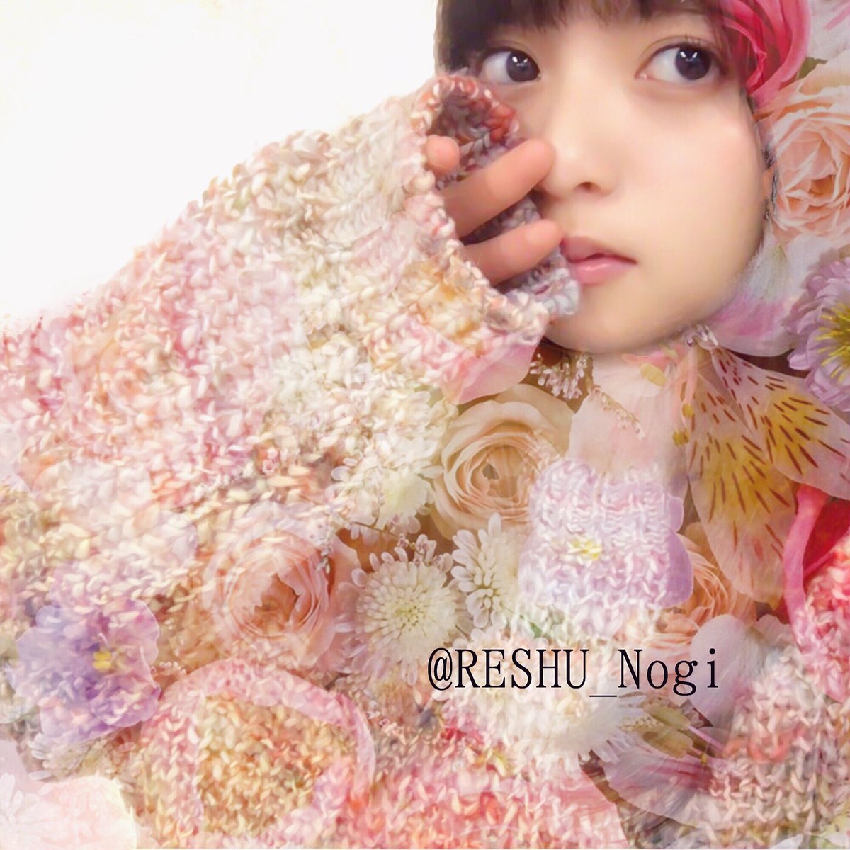 @BERISA_NERU さんに作っていただきました！ありがとうございます！！！
#新しいプロフィール画像