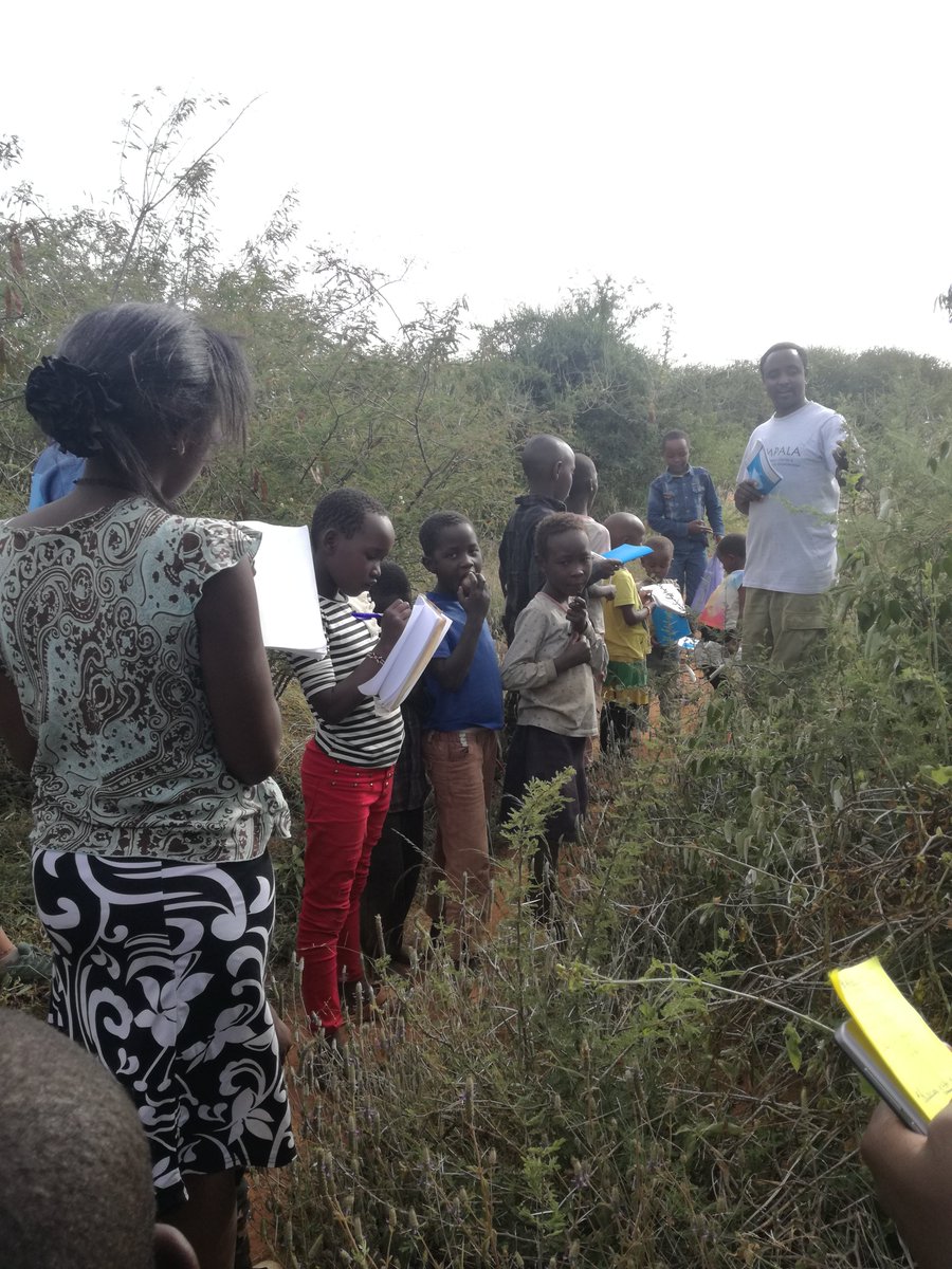 sayialel_says's tweet photo. Taking time to have a #natureWalk with #Kids during #holidayConservationLessons is fun #youngstersarethefuture #conservationists @wilsonwatetu https://t.co/AE3BfHL5Ds