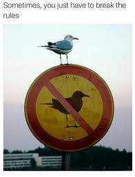 impactfabriek's tweet photo. "Vooruitgang is pas mogelijk als alle partijen besluiten om de regels te overtreden." Zullen we dat dan maar eens gaan doen?? Goed stuk over het nut en de noodzaak van sociale innovatie.
https://t.co/eiq6ViZOb4 https://t.co/Y2hSCSY41F