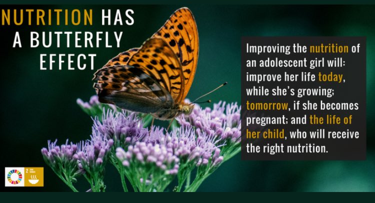 SUNCSAPak's tweet photo. #Nutrition has a butterfly effect. Improved nutrition today can safeguard the nutrition of future generations https://t.co/TRtHp1tGKC by @LaurenLandis1 @GNreport https://t.co/V0mf94GQih