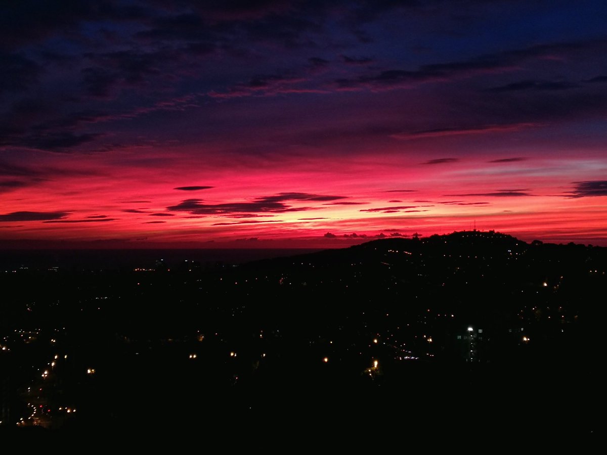 Jordi Campos tweet media