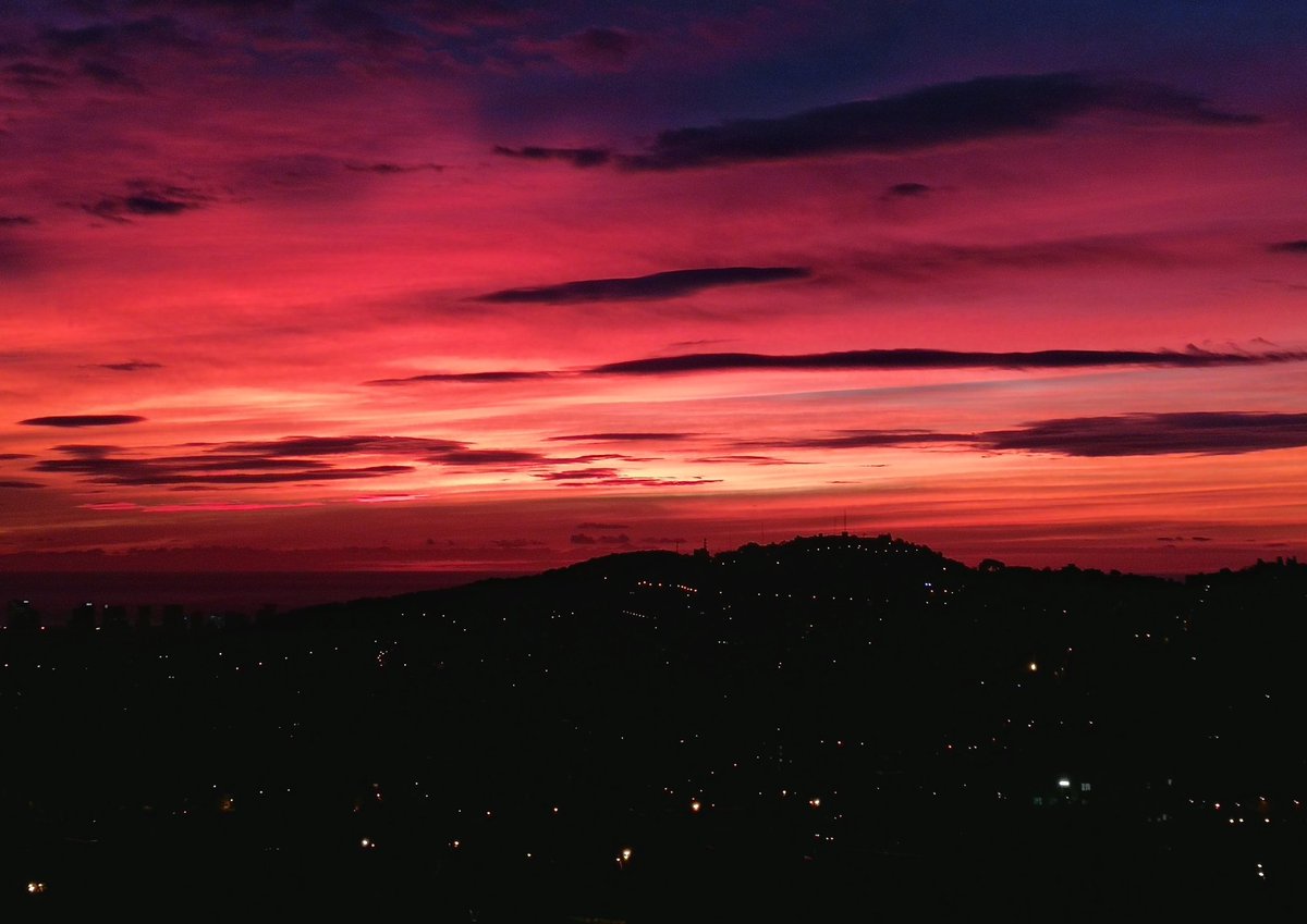 Jordi Campos tweet media