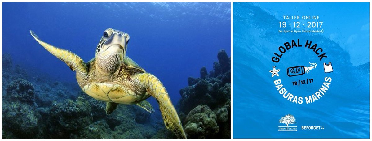 #GlobalHackOceans 19/12/2017
Hemos completado el #TallerOnline gratuito para la resolución del reto de las #BasurasMarinas con Más de 60 equipos de 10 países diferentes!!! 
Ven al TALLER PRESENCIAL en <a href="/teamlabs/">TeamLabs/</a> MADRID, aún hay un sitio para ti! 😊❤🌊
beforget.com/global-hack-oc… …