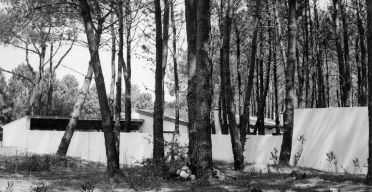 Dedicamos el #JuevesDeArquitectura de hoy al 115º aniversario del poeta Rafael Alberti recordando La Gallarda, la casa que #AntonioBonet le construyó en su exilio uruguayo a mediados de los 40. 

Hilo.