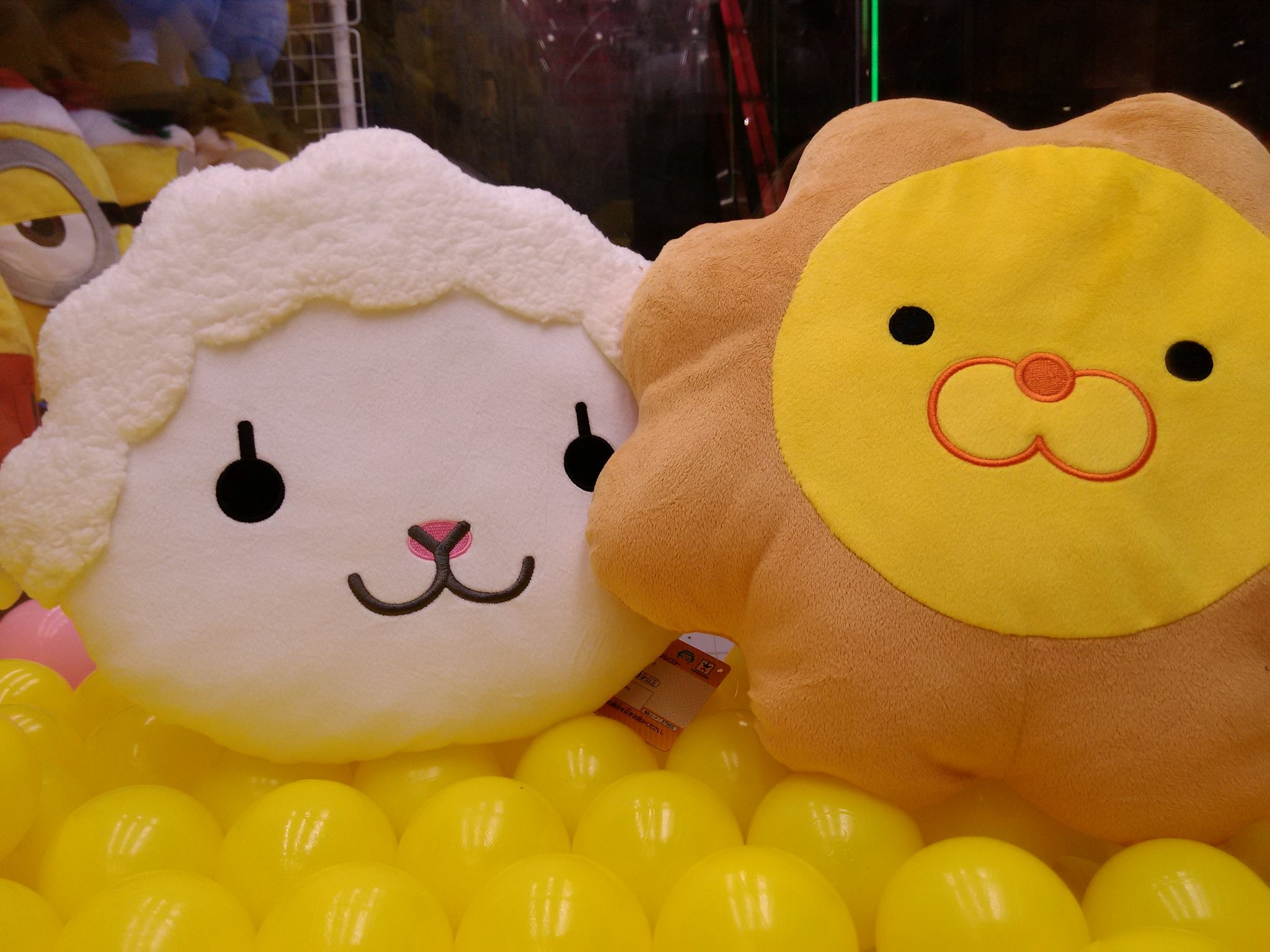 ラウンドワン上尾店 Di Twitter Am景品情報 ピンクシャツイチ押しのポンデライオン シリーズより 顔型クッションの登場です は なんという可愛さでしょうか お座布団でもいけそうなサイズ感でが おしりの下に敷くのは気が引けちゃいますね ポンデライオンと