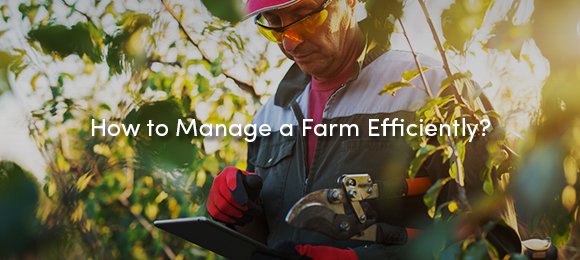 AgriviCorp's tweet photo. Top 3 Qualities of a Successful Farm Manager 🔝👩🌾👨🌾 https://t.co/luM6o51h4S #Agtech #Farming #CropProduction #FarmPractices #PrecisionAg #FarmManagement #FMS https://t.co/Gymc0aOakq