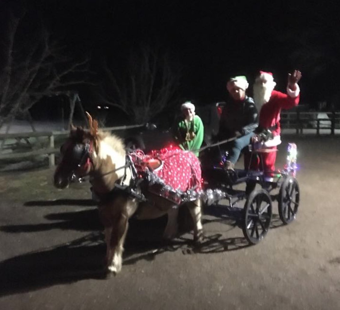 Really enjoying all your festive pictures 🤶🏼 🎅🏼
Here's Pumpkin taking Father Christmas to deliver presents at the nursery in their Bennington XS
Thank you Sarah for sharing
#carriagedriving
