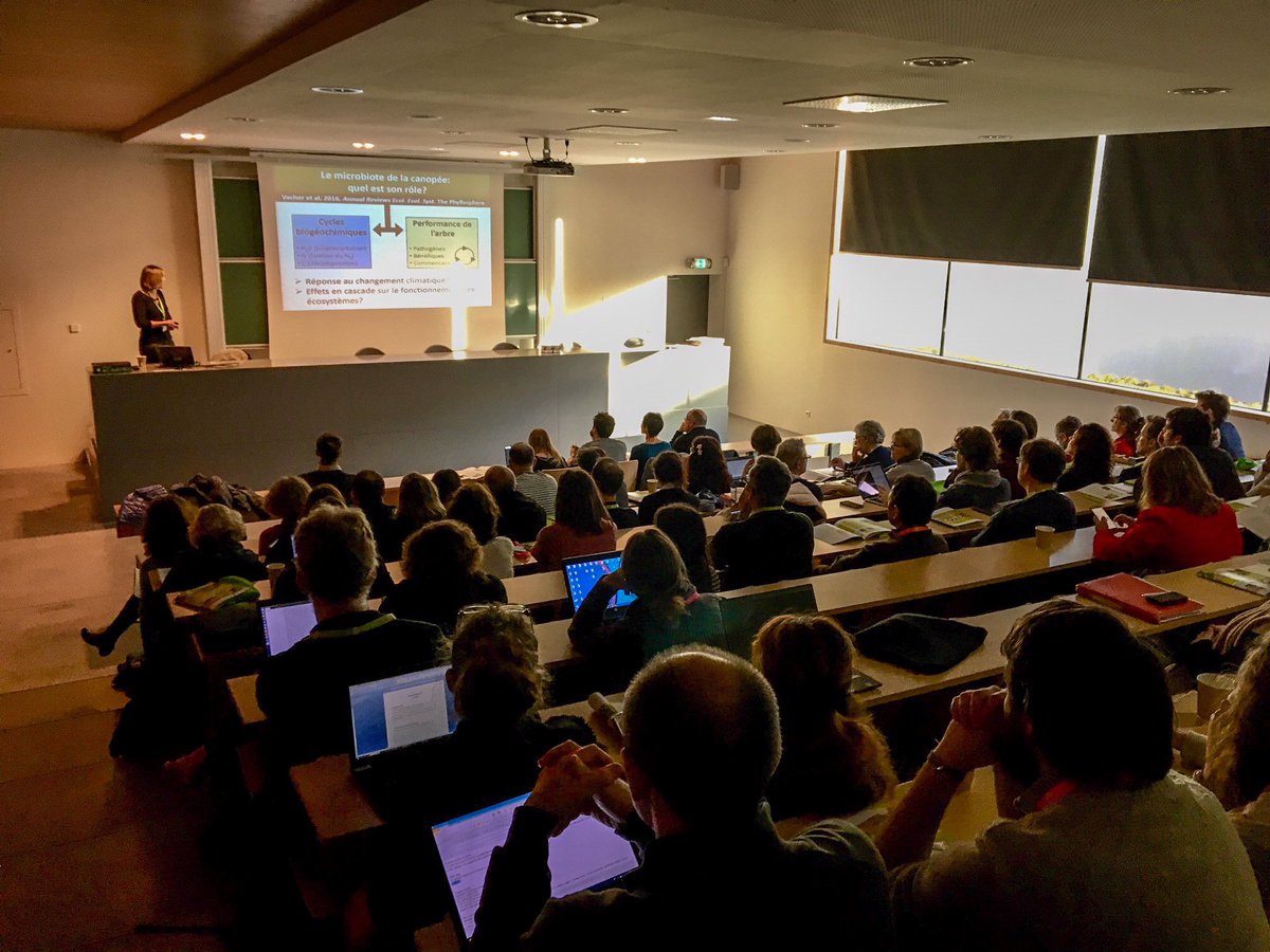 labexCOTE's tweet photo. Présentation du projet #MICROMIC par Corinne Vacher #Ispa @Ubiogeco - L'objectif : comprendre comment le #microclimat et les #microorganismes vont répondre au #ChangementClimatique dans la #canopée 🍃 #AGCOTE2017 https://t.co/do468pDpfH