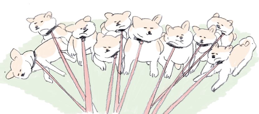 柴犬たくさん飼いたいけど 散歩中にみんなに引っ張られたら嫌になる