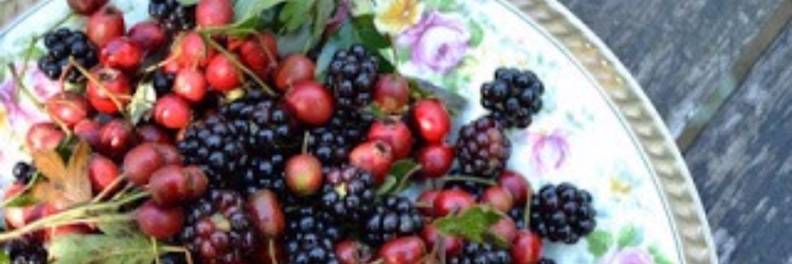 MoestuinHulp's tweet image. Recepten met Gratis Groenten, Fruit en Kruiden uit de Natuur - Wildpluk - Budgetmoestuin #Dier, #Tuin #&amp;amp; #Natuur oal.lu/0Cy8d