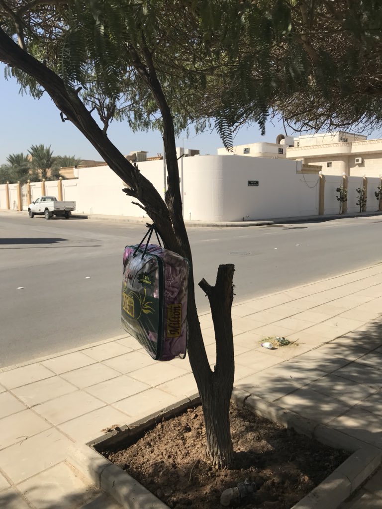 مررت صباح اليوم بهذا الحي،فوجدت أن أهله قد زيّنوا أشجاره بالبطانيات لعلها تقع في أيدي المحتاجين لها أيام الشتاء ..عمل إنساني عظيم..أسأل الله أن يكتب لكم أجره