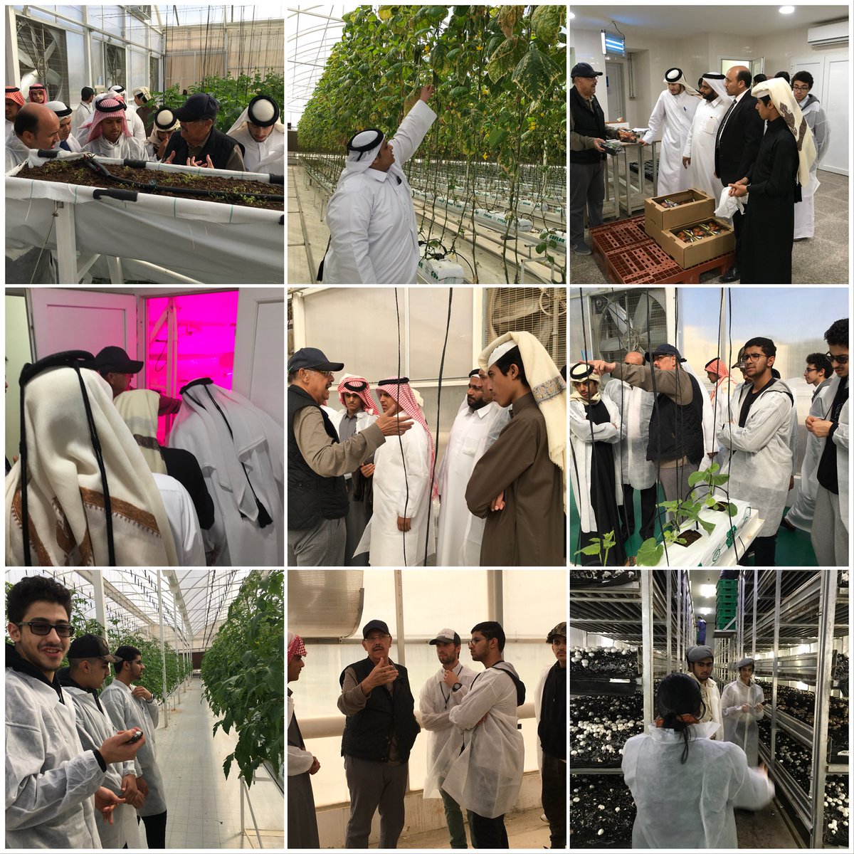 QuranicGarden's tweet photo. QBG organized an field trip to the students participating in its #educational_program on #Food_Security.
The trip visited the most modern #agriculture technologies used in #Qatar in one of Qatari farms. https://t.co/eZ1DaTxuVe