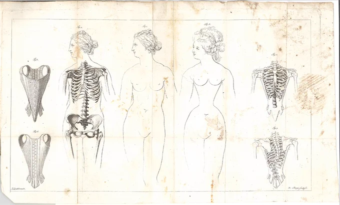 衣服解剖学の現調査で一番古い関連文献。ドイツの解剖学者ゼンメリングによる『コルセットの人体への影響』(1793)。彼は医師の立場からコルセットが身体に悪いと説いたが、女性の腹部が解放されたのは約100年後の事であった。筆者蔵。#衣服解剖学 