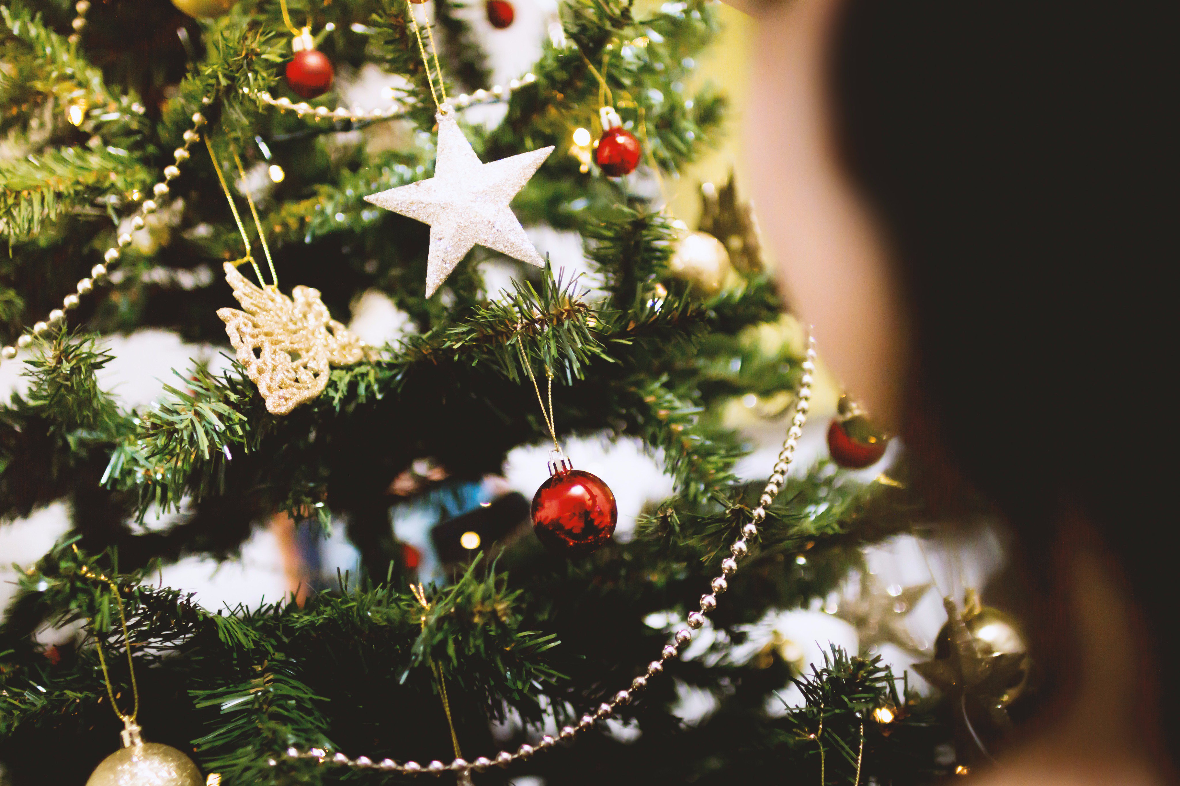 クリスマス豆知識 Twitter