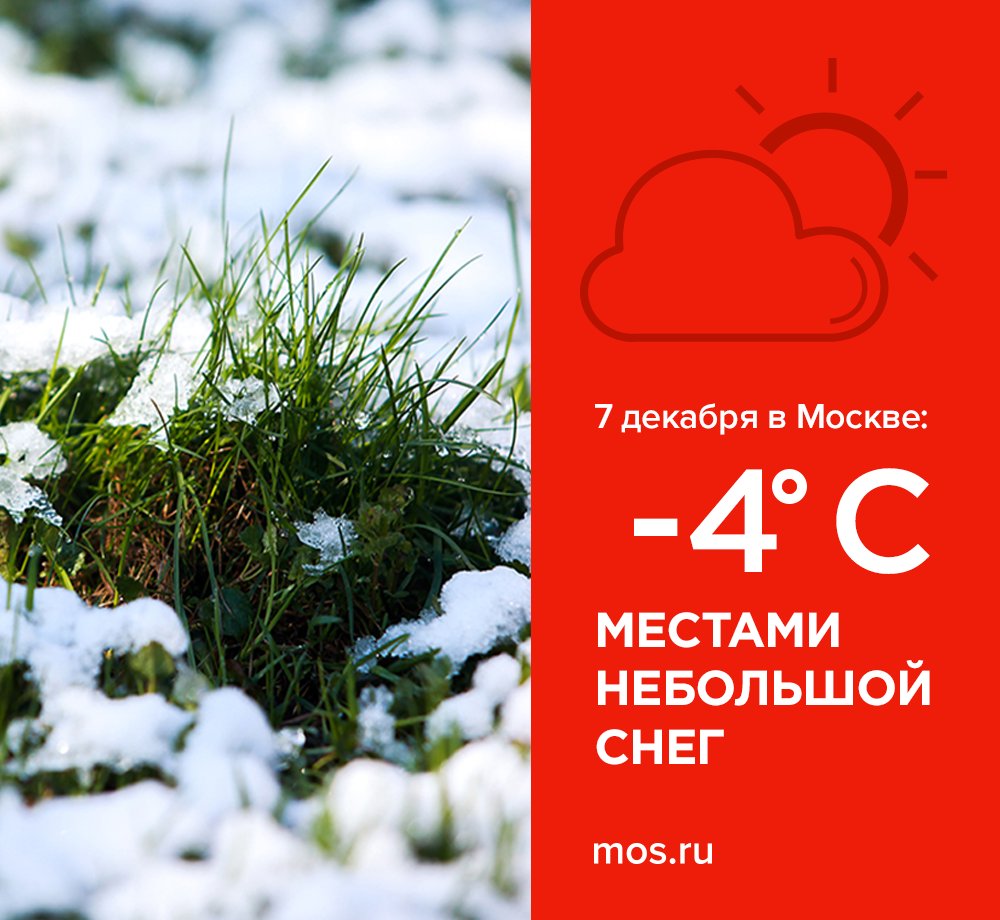 Погода в москве 14 декабря. Погода в москве 14 декабря. Погода в москве 14 декабря. Погода в москве 14 декабря. До минус 3 снег.